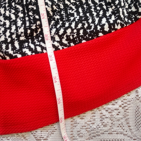 Alyx Black White Fit and Flare Pleated Mid Length Sleeveless Dress with Red Trim - Picture 4 of 8